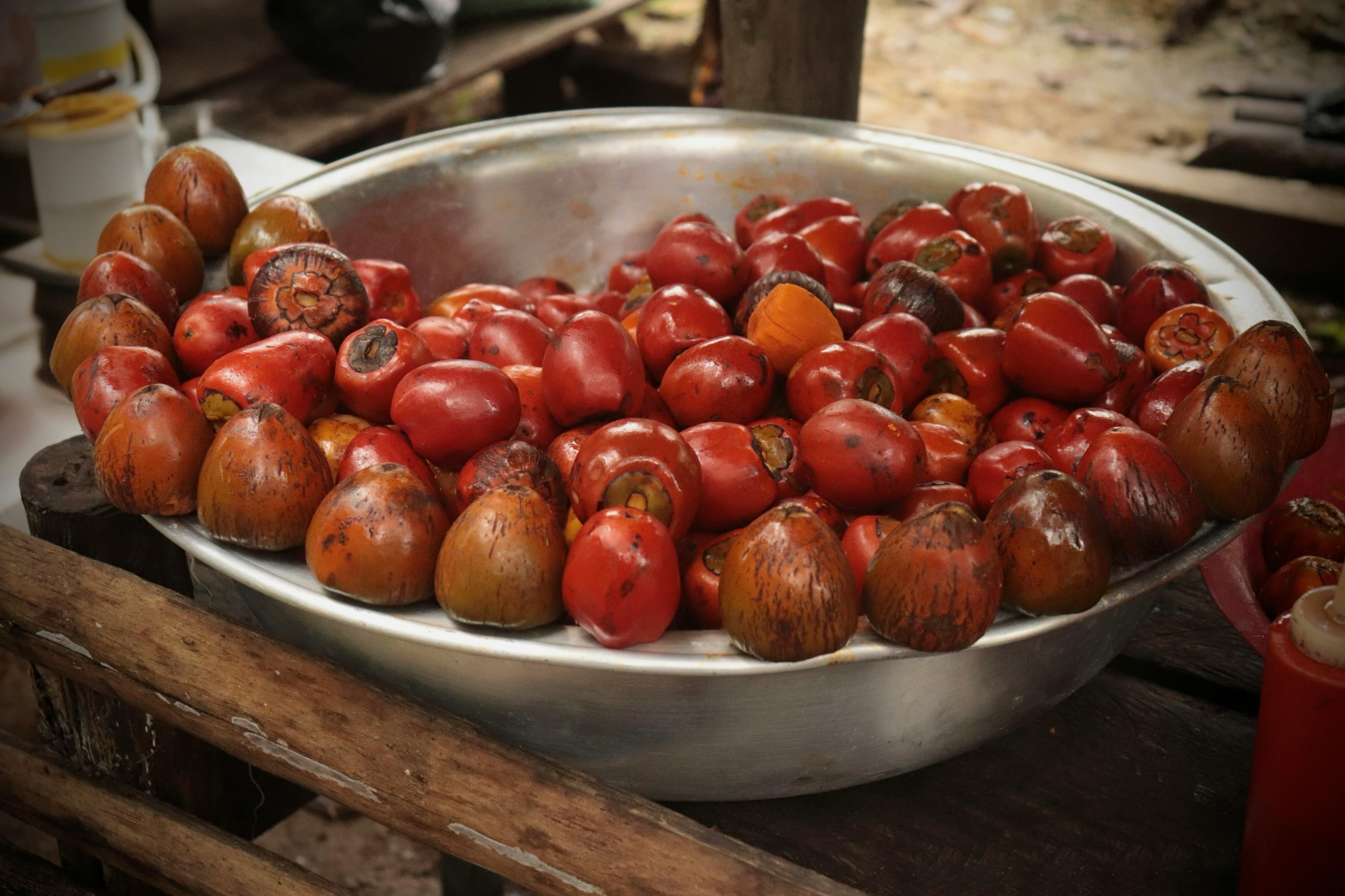 Fresh palm oil fruit bunches